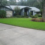 Green grass and healthy landscaping