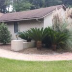 Palms and tall ornamental grass