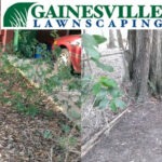 Before-and-After-2-3-5b27d83551e26