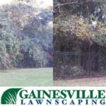 Before-and-After-2-copy-5b27d83945e80