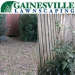 Before-and-After-4-4-5b27d8600f4f3