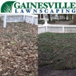 Scattered leaves to well defined grass area