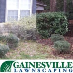 Before-and-after-3-copy-5b27d84b228f6