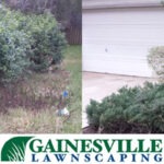 Before-and-after-4-5b27d863c7d00