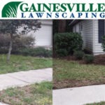 Before-and-after-JS2-5b27d880012a8