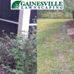 BeforeAfter8m-5b27d8bfa8411