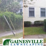 Blythe4-5b27d8cc18c81