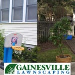 Blythe7-5b27d8d3aed02