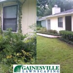 Cleanup-2-Kathy-B-5b27d8da41ea3