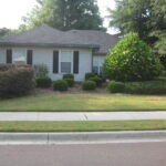 Beautiful well manicured shrubs