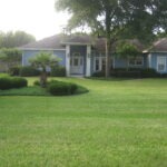 Green lush yard landscaping