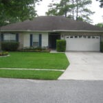 Tree flower ring and manicured shrubs