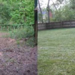 Nevada-S-1-5b27d8e03664a