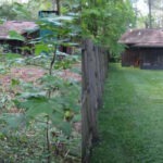 Nevada-S-2-5b27d8e214cb7