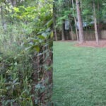 Nevada-S-3-5b27d8e591dd7