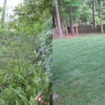 Nevada-S-4-5b27d8e90dcfb