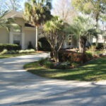 Beautiful Tropical Shrubs