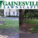 Pi-Phi-BeforeAfter-1-5b27d8ec76b97