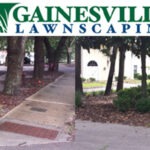 Pi-Phi-BeforeAfter-5b27d8f003a45