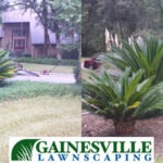 Rayos1-5b27d8f33a275