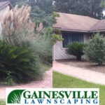 Rayos2-5b27d8f6d9801