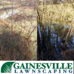 Ridgemont-Pond-Cleanup4-5b27d907a6a74