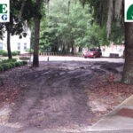 Before, during and after