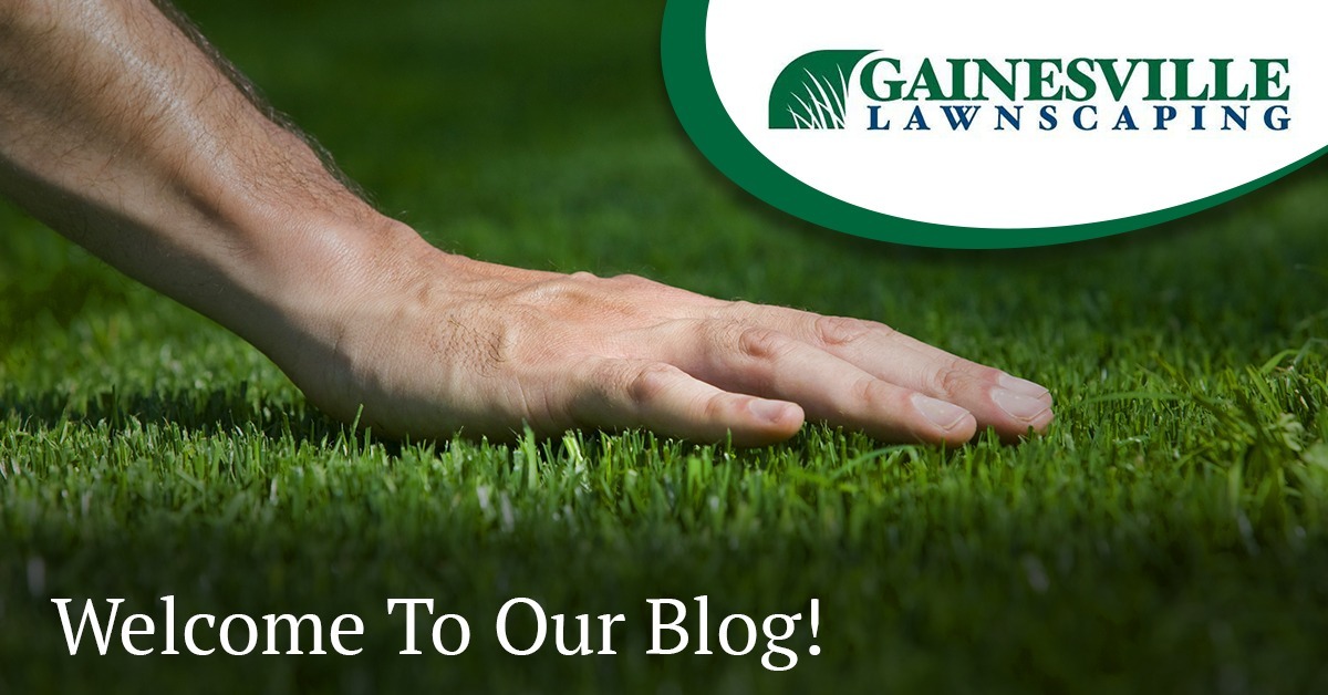 Welcome-To-Our-Blog-5b4396a36f7e2