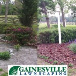 Minimal seating area to lush landscaping