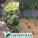 before-after02-5b27d8b8d79ff