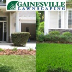 Bleak landscaping to green oasis