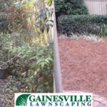 Unwanted property details to well defined backyard area