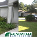 Unkempt shrubs to orderly landscaping