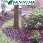 New mulch and flower details