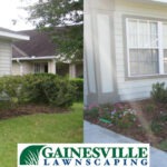 before-and-after-2-1-5b27d82d9a44b