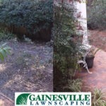 before-and-after-2-5b27d83d8254f