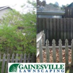 before-and-after-3-1-5b27d840e97ee