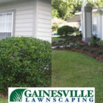 before-and-after-4-2-5b27d857efe48