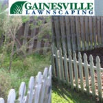 before-and-after-5-1-5b27d86aacc11