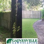 before-and-after-5-2-5b27d86e6ff56