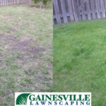 before-and-after-5b27d8846471d