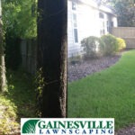 before-and-after-6-5b27d87502b9a