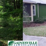 before-and-after-house-5b27d87cc2fb6