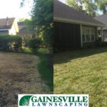 beforeafter-back-copy-5b27d895c4ebd