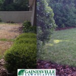 beforeafter-backyard-copy-5b27d89a00733