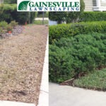 beforeafter-frontright-copy-5b27d8a60d48e