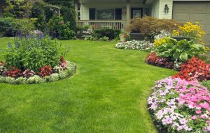 Beautiful lawncare and flowers