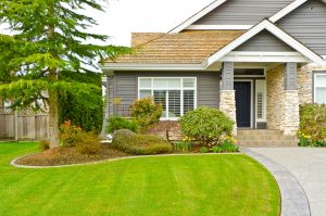 green lawn landscaping