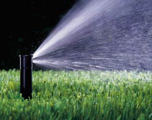 Sprinkler spraying lawn
