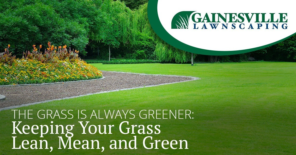 The-Grass-Is-Always-Greener-Keeping-Your-Grass-Lean-5b71feb58d392